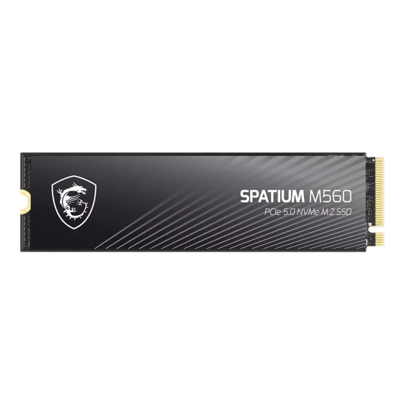 MSI Spatium M560 2 TB 10300/8700MB/s PCIe Gen5.0 NVMe M.2 SSD Disk