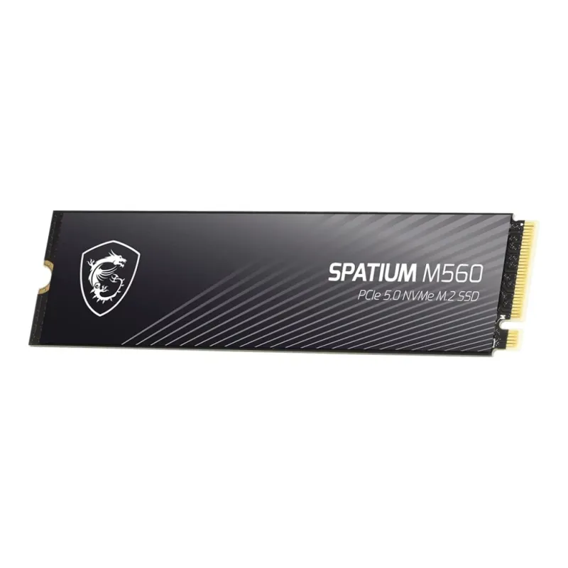 MSI Spatium M560 2 TB 10300/8700MB/s PCIe Gen5.0 NVMe M.2 SSD Disk