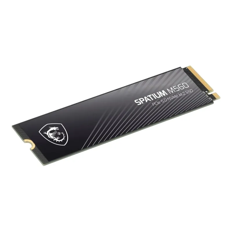 MSI Spatium M560 2 TB 10300/8700MB/s PCIe Gen5.0 NVMe M.2 SSD Disk