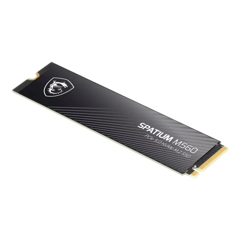 MSI Spatium M560 2 TB 10300/8700MB/s PCIe Gen5.0 NVMe M.2 SSD Disk
